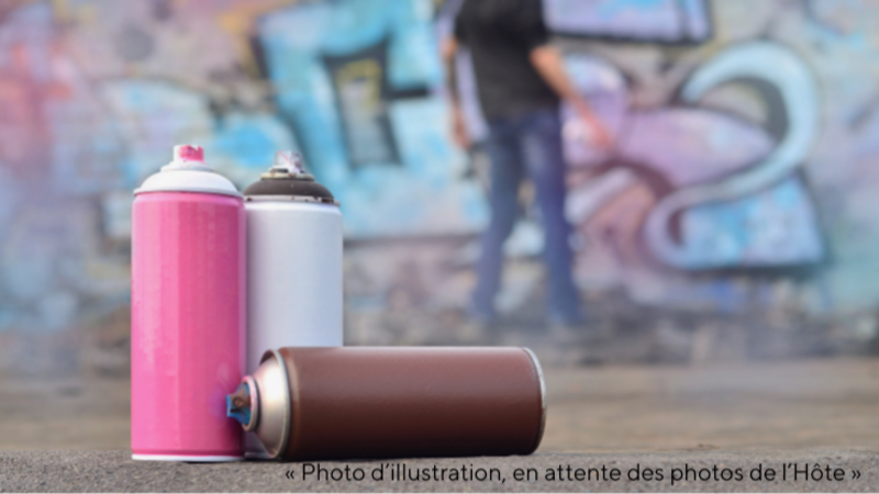 Découverte du graffiti et de ses techniques